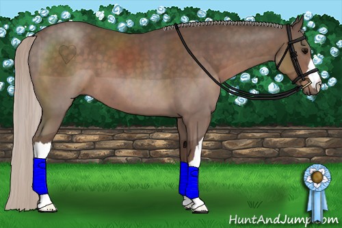 Horse Color:Silver Black 