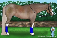 Horse Color:Silver Black 