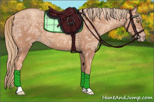 Horse Color:Gold Champagne Ice 