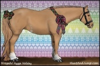 Horse Color:Chestnut Sabino 