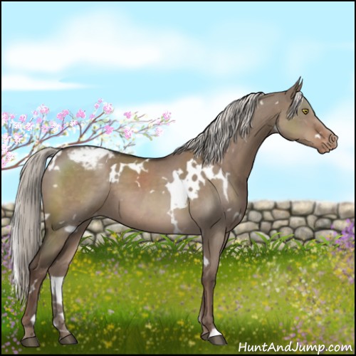 Horse Color:White Spotted Liver Red Dun Mushroom Varnish 