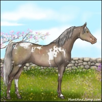 Horse Color:White Spotted Liver Red Dun Mushroom Varnish 