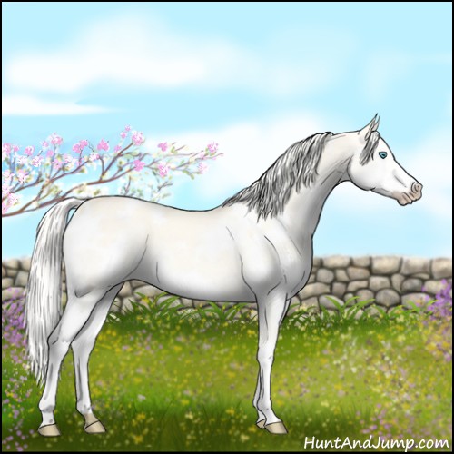 Horse Color:White Spotted Cremello Dun Splash 