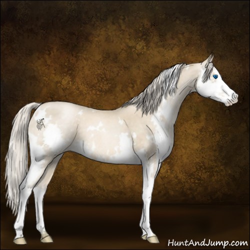 Horse Color:White Spotted Chocolate Palomino Roan Pearl Splash 
