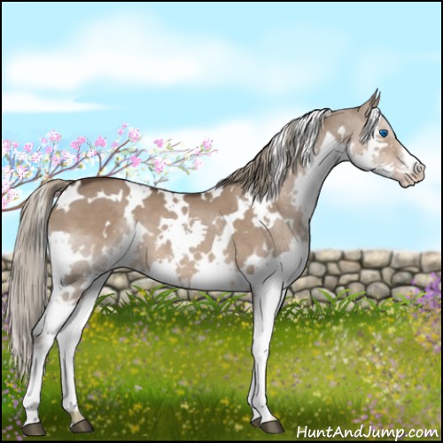 Horse Color:White Spotted Liver Red Dun Splash