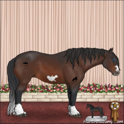 Horse Color:Brown Splash Frame 