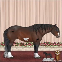 Horse Color:Brown Splash Frame 