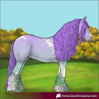 Horse Color:Red Dun Chinchilla Tobiano 