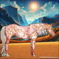 Horse Color:Gray Silver Amber Cream Champagne Roan Dun Splash Tobiano Frame Near Leopard Rabicano 