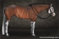 Horse Color:Brown Rabicano and Brown Splash Rabicano