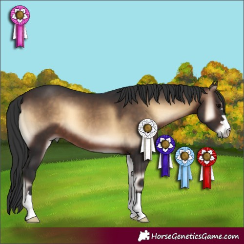 Horse Color:Brown Onyx 