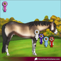 Horse Color:Brown Onyx