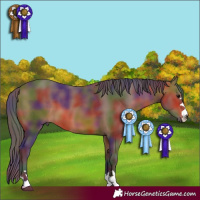 Horse Color:Nacre Bay 