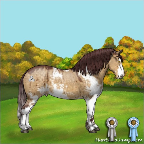 Horse Color:Chocolate Buckskin Dun Sabino Brindle 