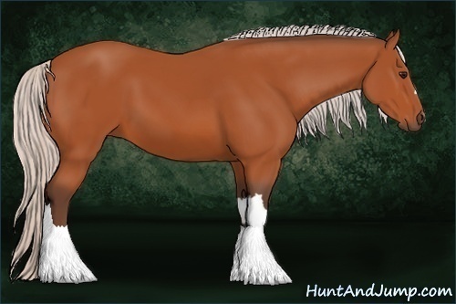 Horse Color:Silver Bay 