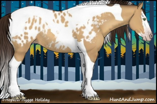 Horse Color:Gray Amber Champagne Dun Splash Tobiano Appaloosa Rabicano 