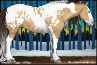 Horse Color:Gray Amber Champagne Dun Splash Tobiano Appaloosa Rabicano 