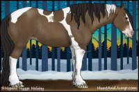 Horse Color:Gray Classic Champagne Sabino Splash Tobiano Rabicano 