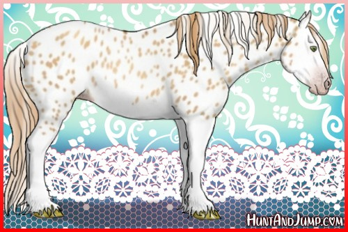 Horse Color:Gray Gold Champagne Roan Dun Splash Near Leopard Rabicano