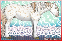 Horse Color:Gray Gold Champagne Roan Dun Splash Near Leopard Rabicano