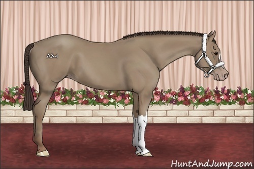 Horse Color:Classic Champagne 