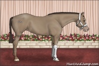 Horse Color:Classic Champagne 