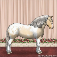 Horse Color:Gray Silver Amber Cream Champagne Roan Dun Splash Tobiano Frame Appaloosa Rabicano 