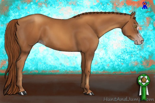 Horse Color:Gray Gold Champagne 