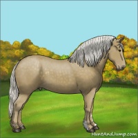 Horse Color:Silver Smoky Black 