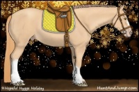 Horse Color:Gold Champagne