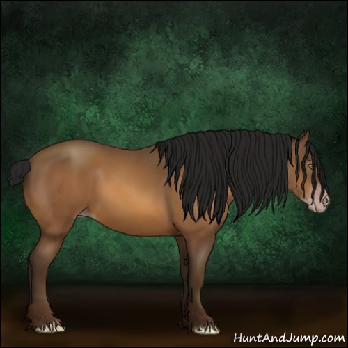 Horse Color:Gray Amber Champagne