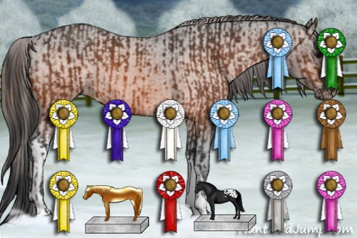 Horse Color:Bay Appaloosa  and Bay Appaloosa 