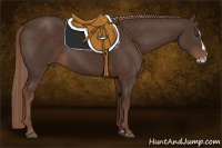 Horse Color:Liver Chestnut Splash 