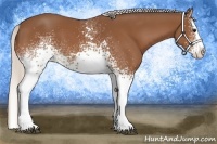 Horse Color:White Spotted Silver Bay Splash 