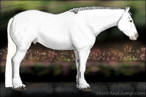 Horse Color:Palomino Dun Varnish 