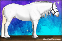 Horse Color:White Spotted Buckskin Splash Appaloosa 