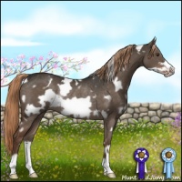 Horse Color:White Spotted Liver Red Dun Frame Rabicano 