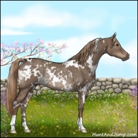 Horse Color:White Spotted Liver Red Dun Rabicano 