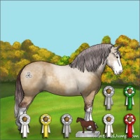 Horse Color:Chocolate Buckskin Dun Sabino 
