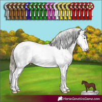 Horse Color:Chocolate Perlino Dun Sabino