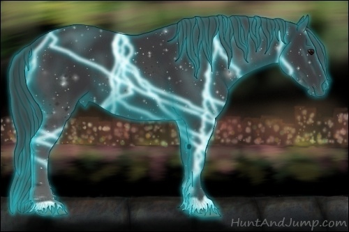 Horse Color:Thunderstruck Black 