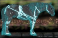 Horse Color:Thunderstruck Black