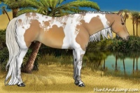Horse Color:Watercolor Silver Bay Tobiano 