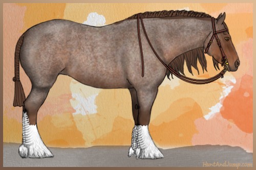 Horse Color:Liver Red Roan 