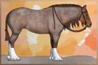 Horse Color:Liver Red Roan 