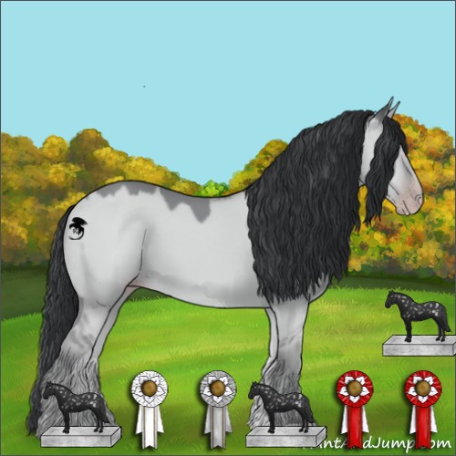 Horse Color:Classic Champagne Chinchilla Dun 