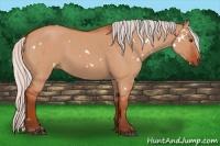 Horse Color:White Spotted Silver Bay Roan Dun 