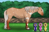 Horse Color:White Spotted Silver Bay Roan Dun 