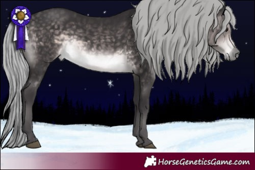 Horse Color:Platinum Silver Buckskin 