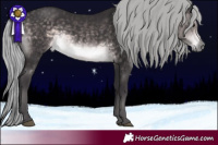 Horse Color:Platinum Silver Buckskin 